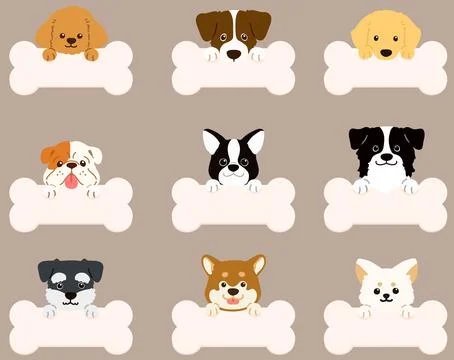 Set of flat colored dog face illustrations with paws holding a bone Stock Illustration
