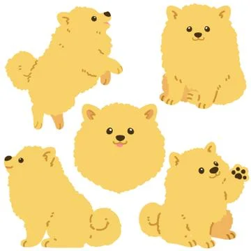 Set of flat colored Pomeranian illustrations Stock Illustration