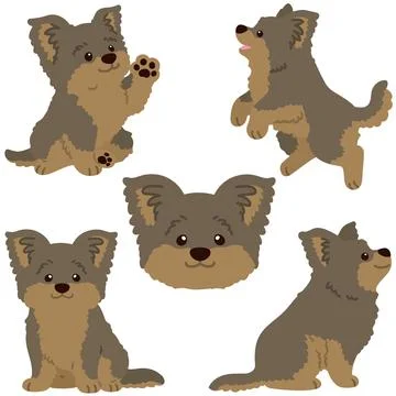 Set of flat colored simple and adorable Yorkshire Terrier illustrations Stock Illustration