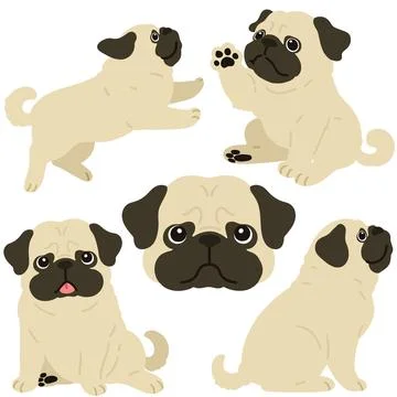 Set of flat colored simple and cute pug illustrations Stock Illustration