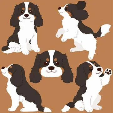 Set of flat colored tricolor Cavalier King Charles Spaniel illustrations Stock Illustration