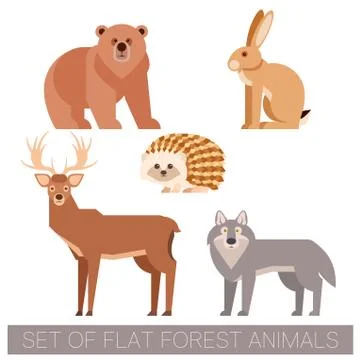Set of flat forest animals Stock Illustration
