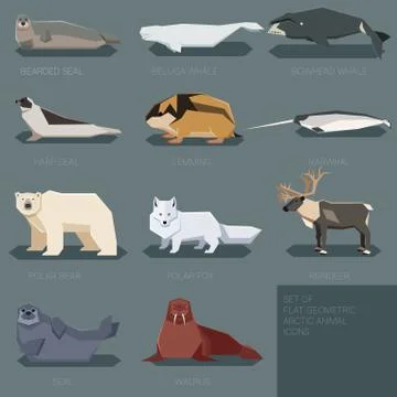Set of flat geometric animals of Arctic Stock Illustration