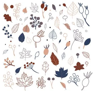 Set of flat isolated illustration of leaves and berries in cozy autumn colors Stock Illustration