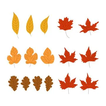Set of flat leaves. Vector illustration of design elements for greeting cards イラスト素材