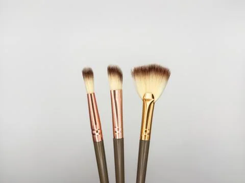 Set of flat top view of various professional female cosmetics brushes for makeup Stock Photos