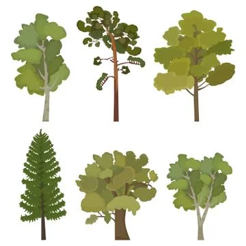 Set of flat trees for infographics Stock Illustration