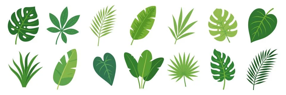Set of flat vector illustrations featuring a variety of tropical and exotic l Stock Illustration
