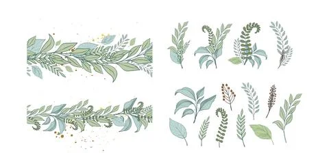Set of floral decor elements from leaves and herbs. Collection of botanical 库存插图