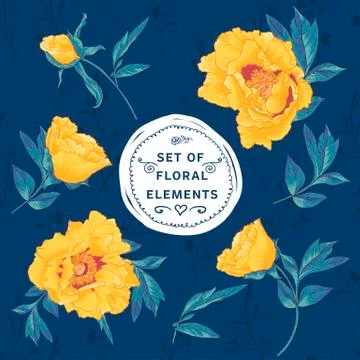 Set of floral design elements Stock Illustration