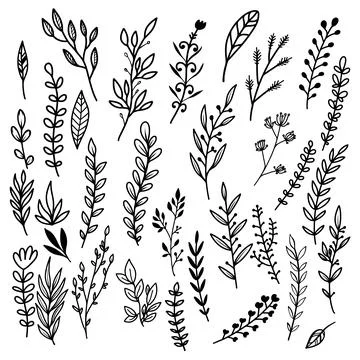 Set of floral design elements in vintage style. Design element for decorati.. Stock Illustration