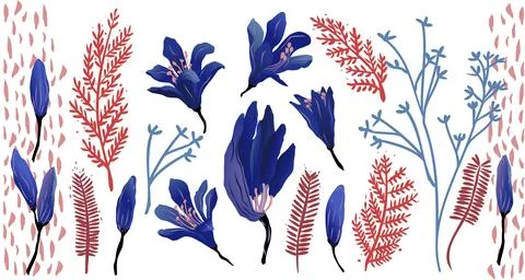Set of floral elements, blue and red flowers resource. Agapanthus flowers v.. Illustrazione stock