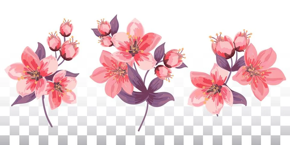 Set of floral elements for decor.Cards, banners, cards, invitations.Pink flow イラスト素材