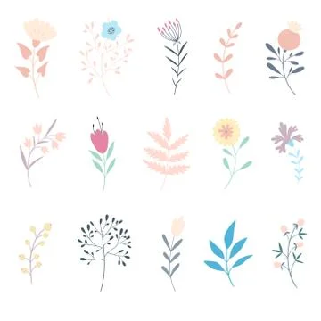 Set of floral elements. Flat style Stock Illustration