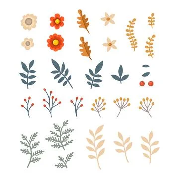 Set of Floral Elements. Flower and Leaves. Vector Illustration