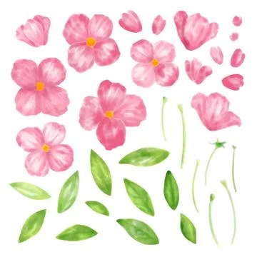 Set of floral elements. Flower pink rose, green leaves and stem. Wedding conc イラスト素材