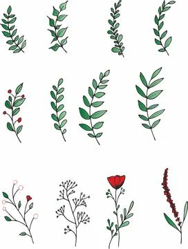 Set of floral elements. Flower red, burgundy, navy blue rose, green leaves. W Stock Illustration