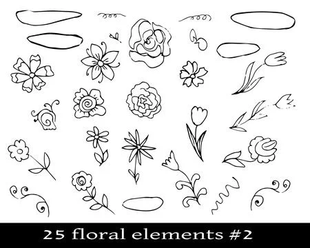 Set of floral elements with flowers and frames 스톡 일러스트