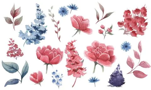 Set of floral elements. Flowers pink peonies, green, burgundy, blue leaves. G Illustrazione stock