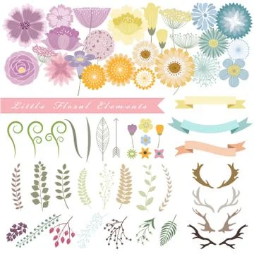 Set of floral elements Stock Illustration