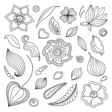 Set of floral elements. Stock Illustration