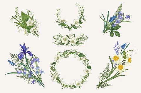 Set with floral elements. Stock Illustration