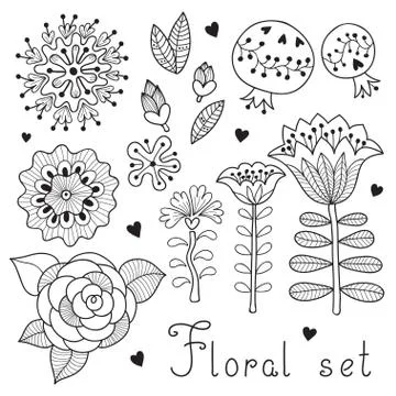 Set of floral elements isolated for your design. Illustrazione stock