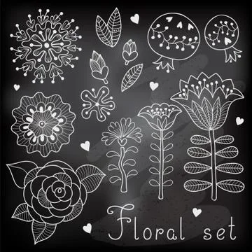 Set of floral elements isolated for your design. Stock Illustration