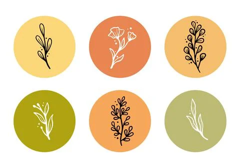 Set of floral elements for stoty highlight Illustrazione stock