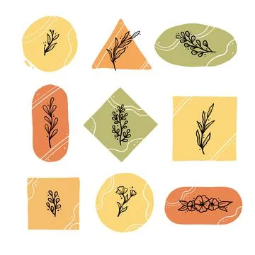 Set of floral elements for stoty highlight Stock-Illustration