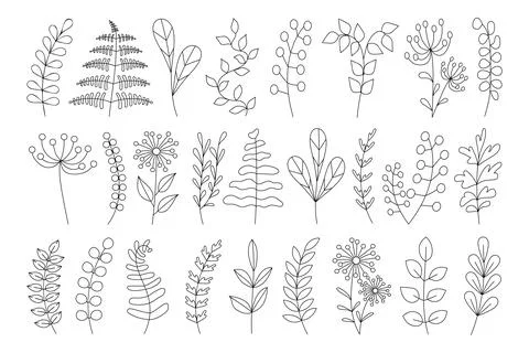 Set of floral hand drawn elements. Vector branches with leaves, flowers, herb 库存插图