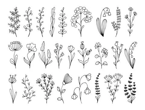 Set of floral hand drawn elements. Vector branches with leaves, flowers, herb 库存插图