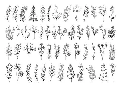 Set of floral hand drawn elements. Vector branches with leaves, flowers, herb Stock Illustration