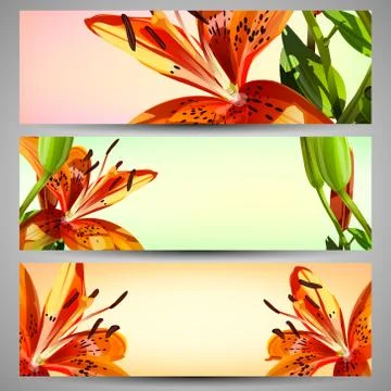Set of floral headers Stock Illustration