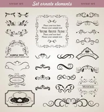 Set floral ornate design elements 库存插图