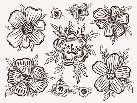 Set floral outline hand draw.Element black color in white background.Botanical Stock Illustration