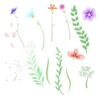 Set of floral watercolor elements for design Stock Illustration