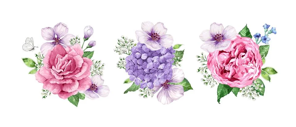 Set of flower Bouquets apple tree flower, gypsophila in watercolor style Stock Illustration