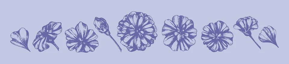 Set of flower buds of daisy thin line art. Graphic vector illustration of pla Stock Illustration