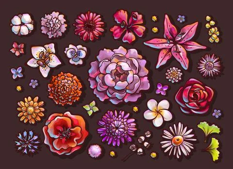 Set of flower buds, top view. Colorful vector Stock Illustration