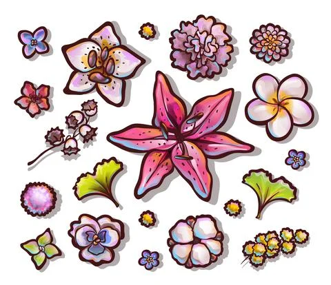 Set of flower buds, top view. Colorful vector Stock Illustration