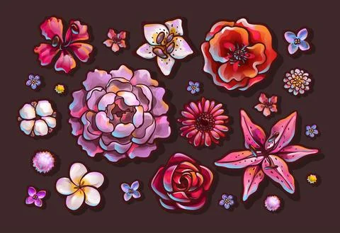 Set of flower buds, top view. Colorful vector Stock Illustration