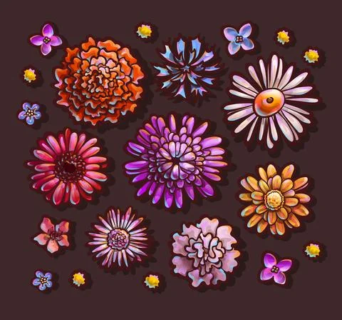 Set of flower buds, top view. Colorful vector Stock Illustration