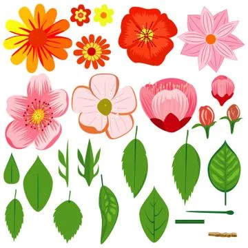 Set of flower elements Stock Illustration