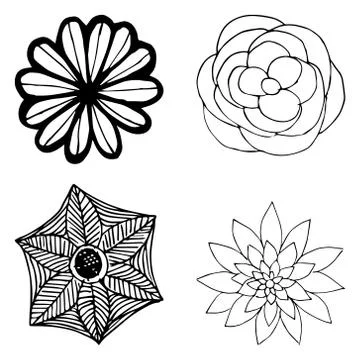 Set flower icon. Vector illustration of a beautiful flower. Hand sketch flowe Stock Illustration