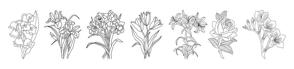 Set of flower line art vector illustrations. Stock Illustration