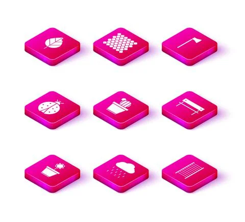 Set Flower in pot, Cloud with rain, Ladybug, Cactus and succulent, Wooden Ilustración de archivo