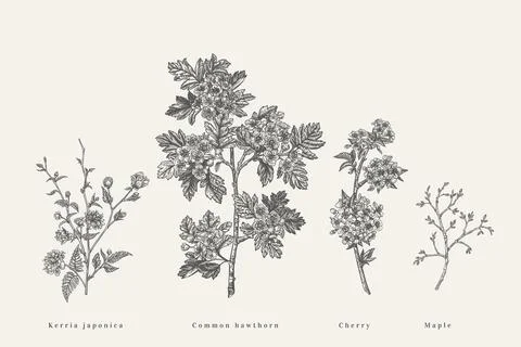 Set with flowering branches trees. Illustrazione stock