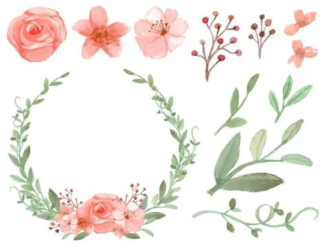 Set of flowers and leaves vector Stock-Illustration