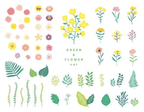 A set of flowers and plants, featuring warm colors inspired by spring. イラスト素材